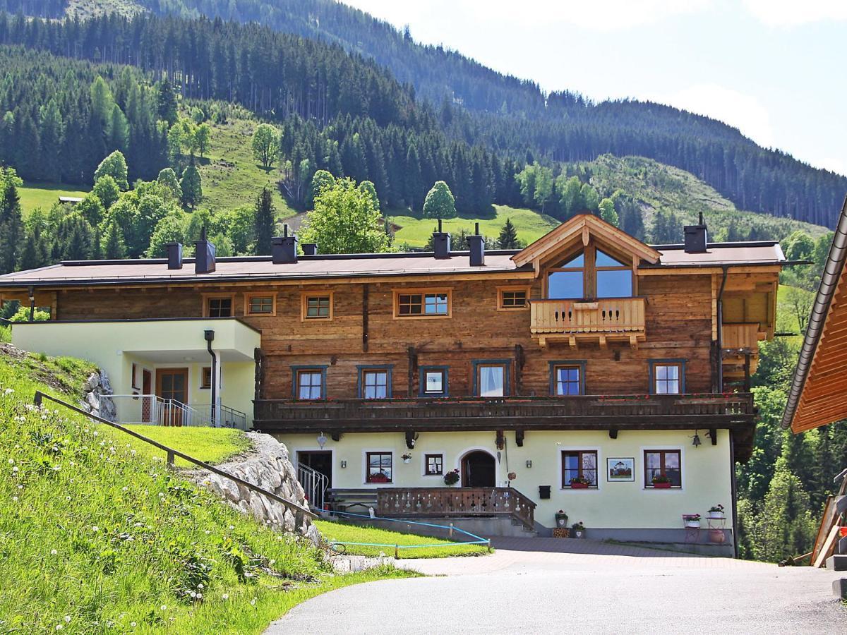 Apartment Mooslehen-3 By Interhome Schattberg Экстерьер фото